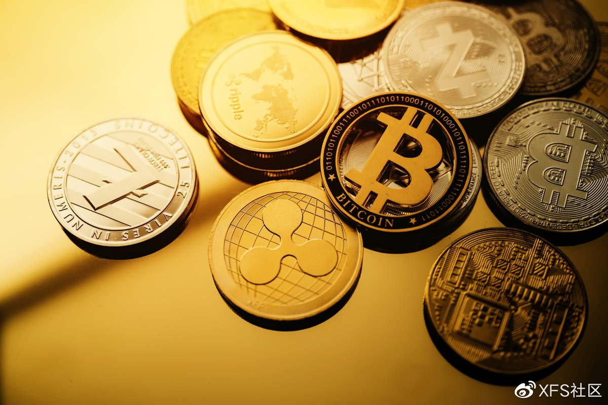 基金会本应保护加密货币，现在风险投资者表示他们正在做相反的事情