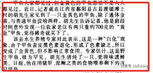 太湖钓叟字谜解析与金码对应码参考逻辑揭秘