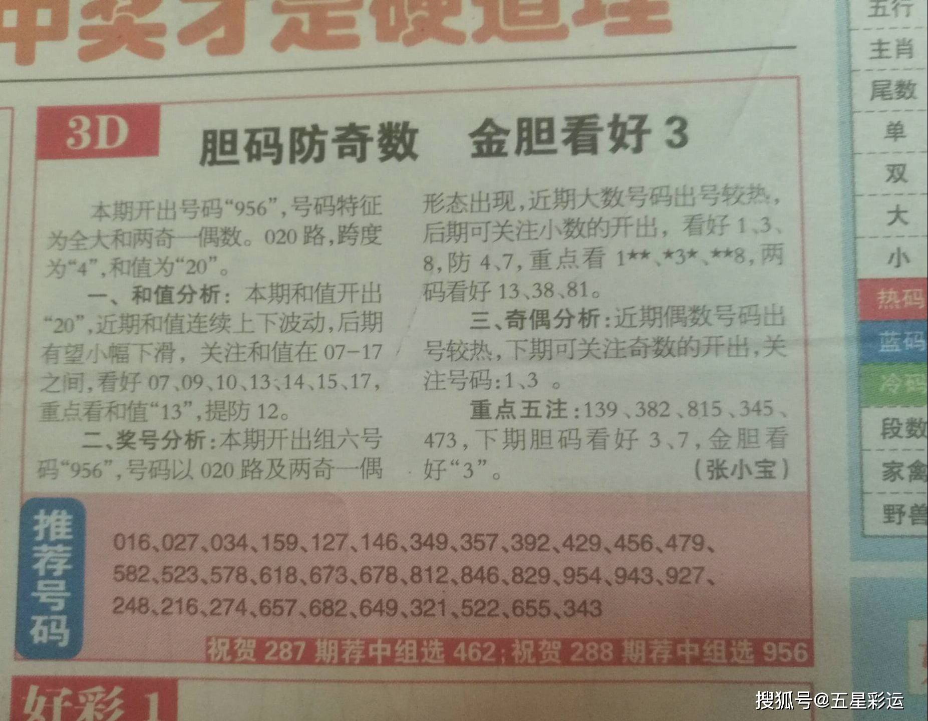 试机号金码分析与独胆逻辑深度探讨
