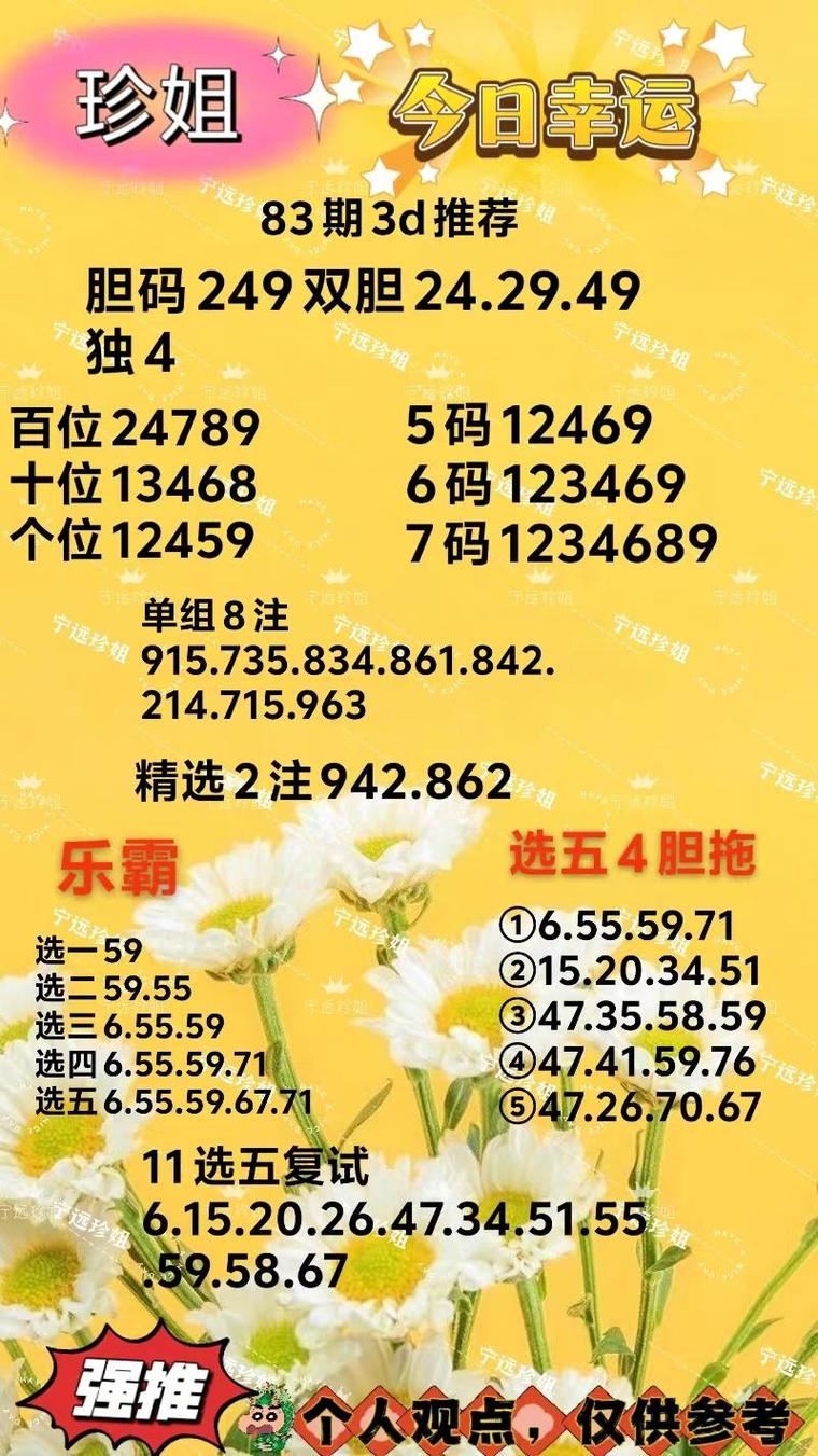 试机号金码整理与独胆方向探索指南