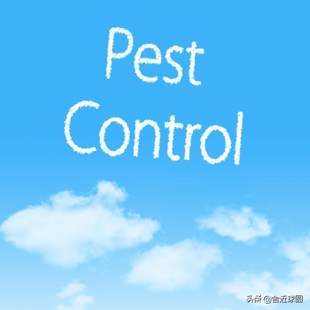 福彩3D字谜复盘合集，五码复试详解攻略