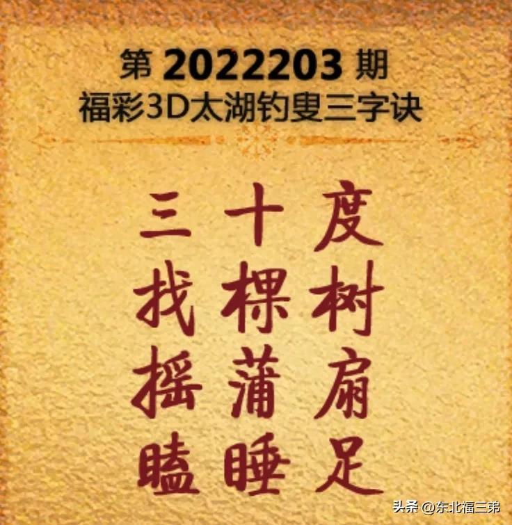 太湖钓叟字谜探索，逻辑路径与独胆之旅