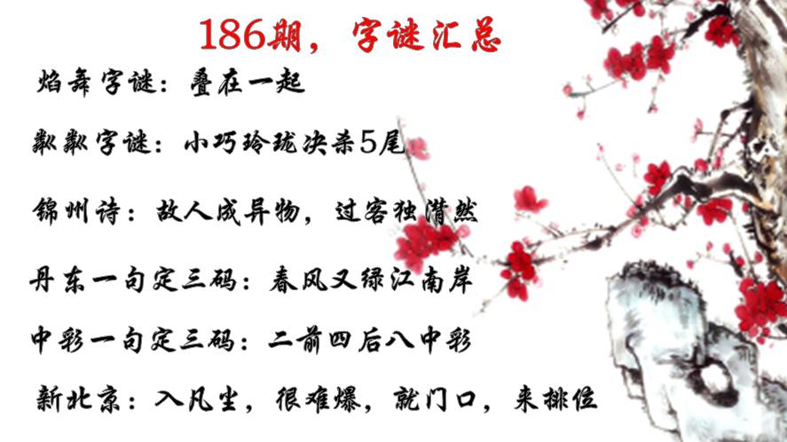 太湖字谜逻辑解析与独胆揭秘