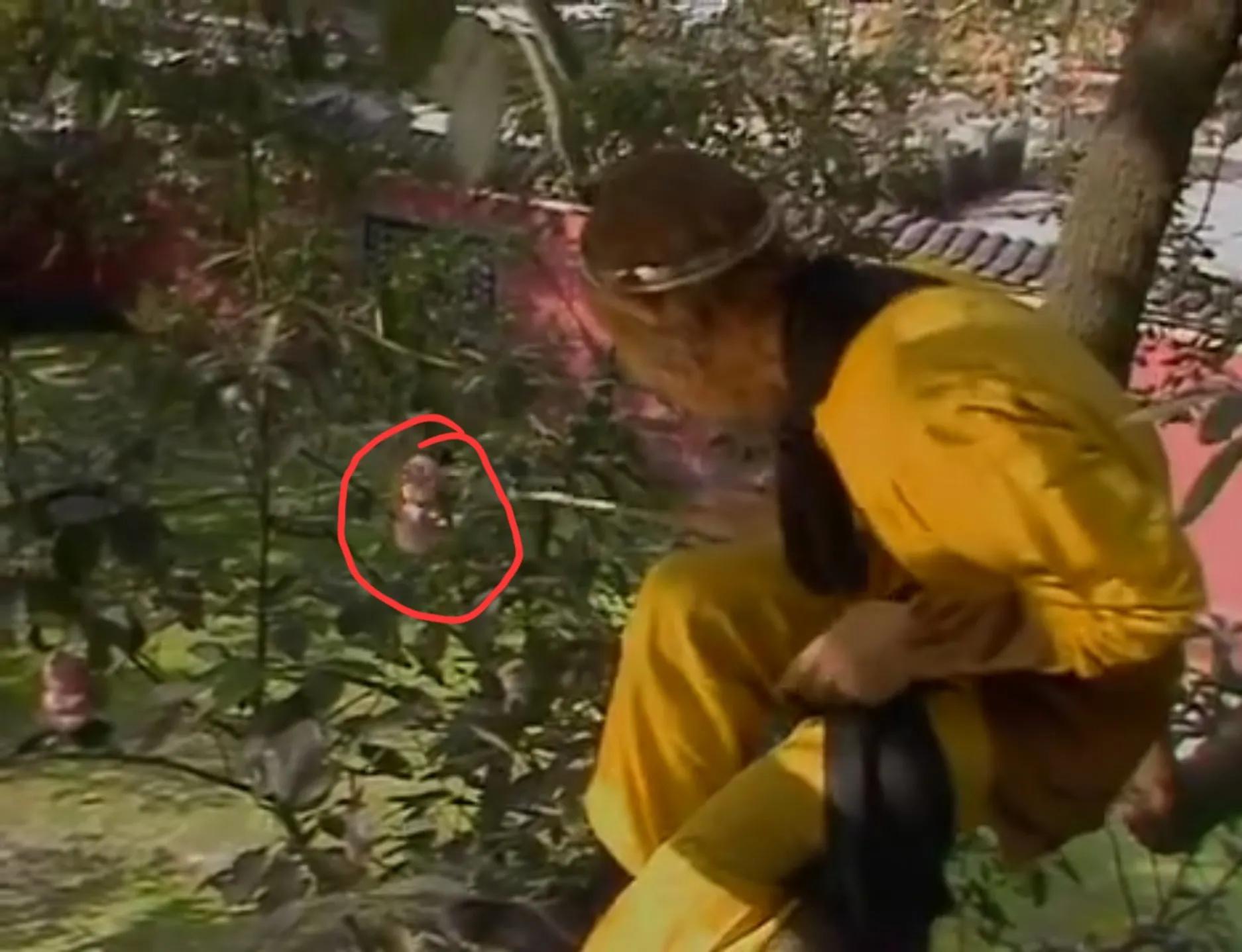 太湖钓叟字谜与独胆模型解读