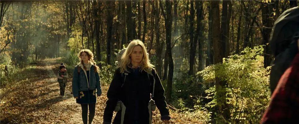 寂静之地，无声生存的恐怖，发声引来的绝望与怪物追杀