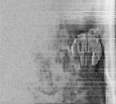 异形，太空恐怖怪物——经典与永恒的恐惧之旅