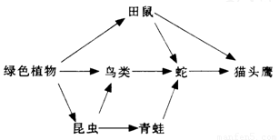 液质在食品营养成分分析中的应用探究