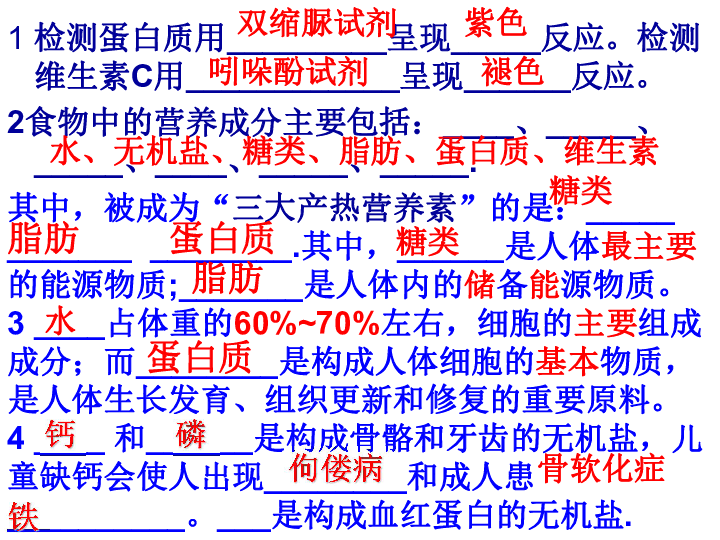 食品营养学，食物的消化与吸收PPT全面解析