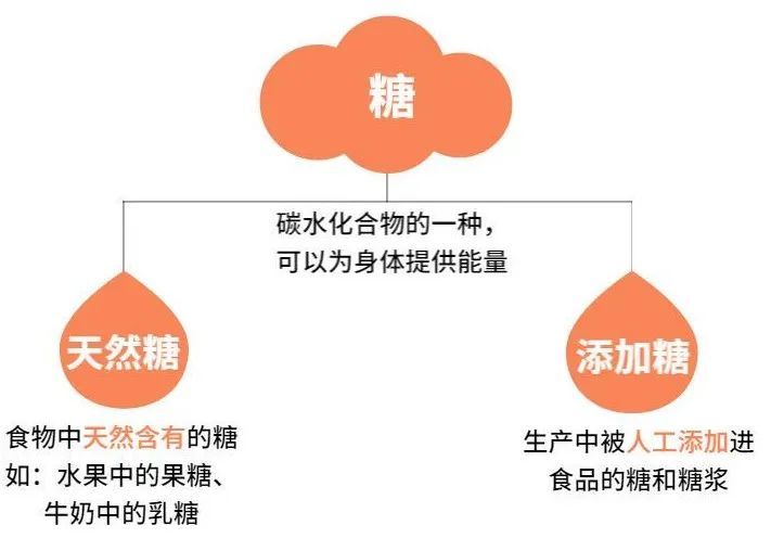 食品营养成分表使用中的常见错误及其影响分析