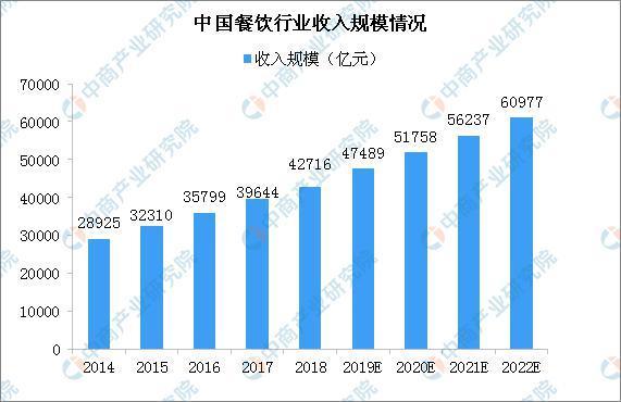 营养食品行业深度剖析与现状观察