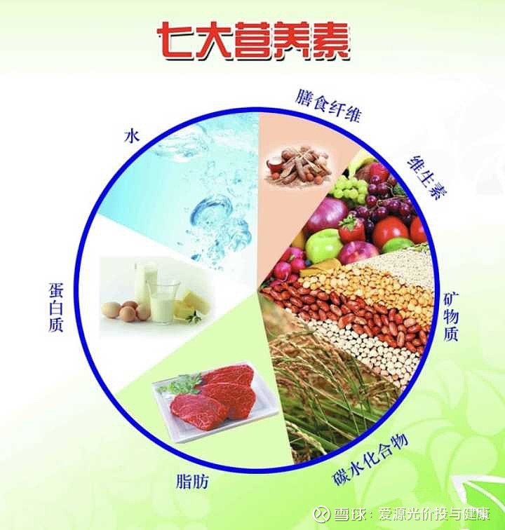 食品六大营养元素的重要性及作用解析