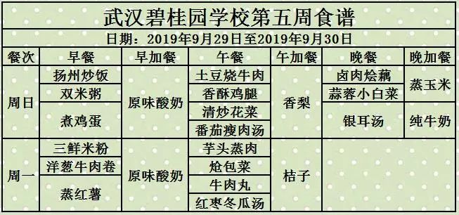 食品五大基本营养成分，构建健康生活的基石之道