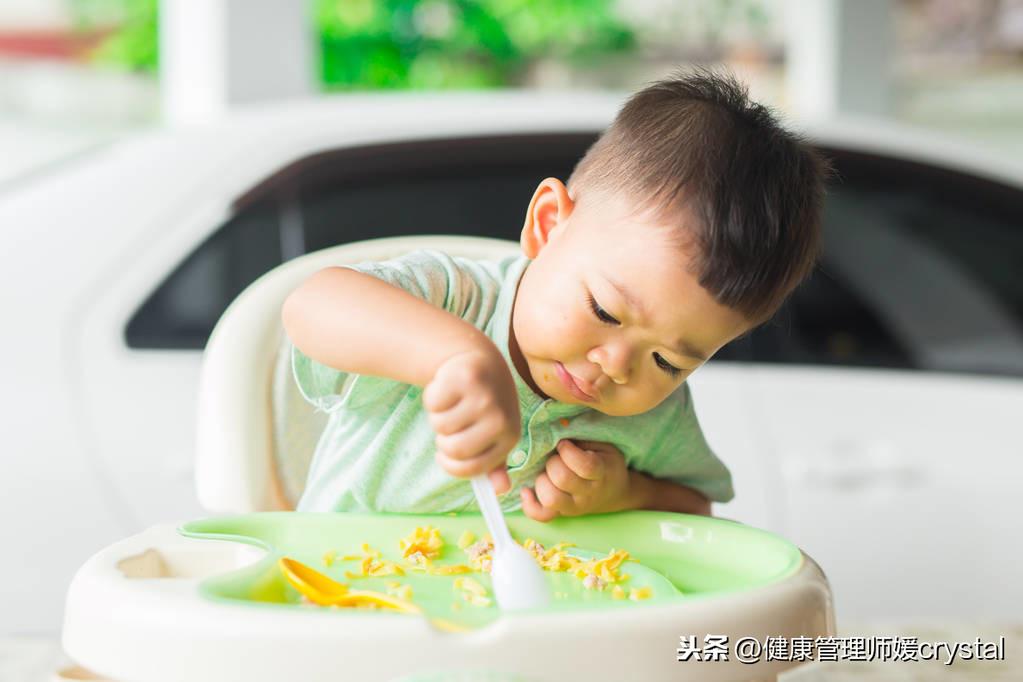 食品营养师资格证考试攻略与指南