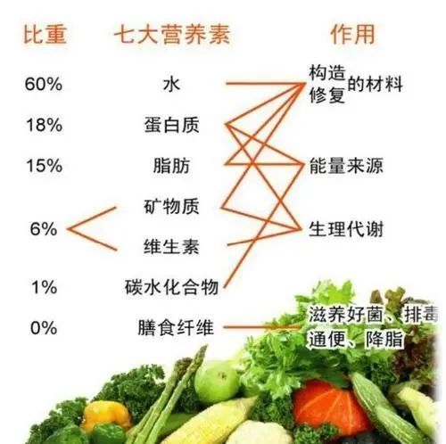 食品六大营养成份详解