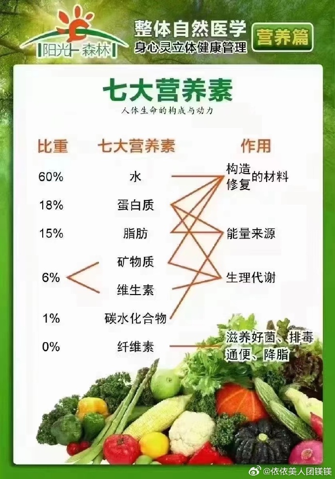 七大营养素与食品，构建健康饮食的基石基石解析