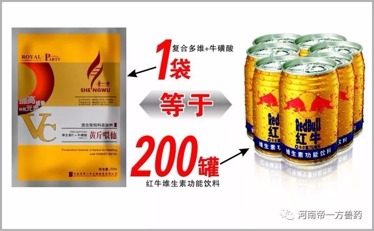 多维复合锌运动营养食品，探索健康生活的秘密武器