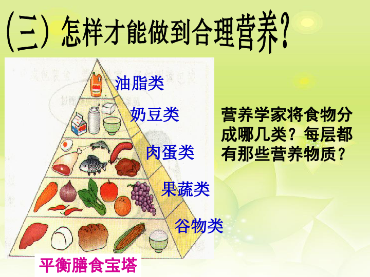 食品的三大营养素及其重要性概述