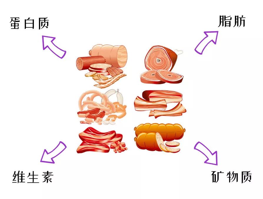 老年人食品营养素摄入量的研究与探讨