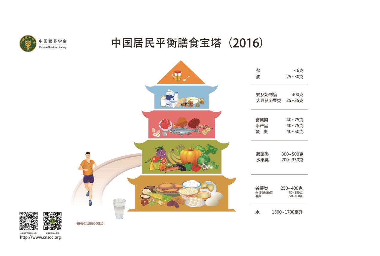 探寻健康饮食秘诀，推荐食品卫生与营养学UP主分享经验心得