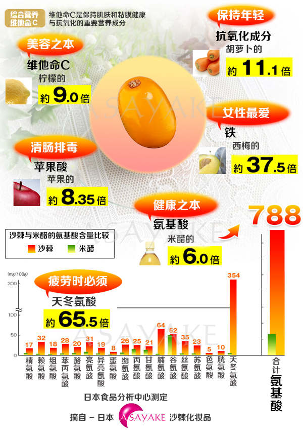 女神一号食品营养成分深度解析