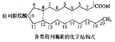 食品营养学视角下的前列腺素A研究探析