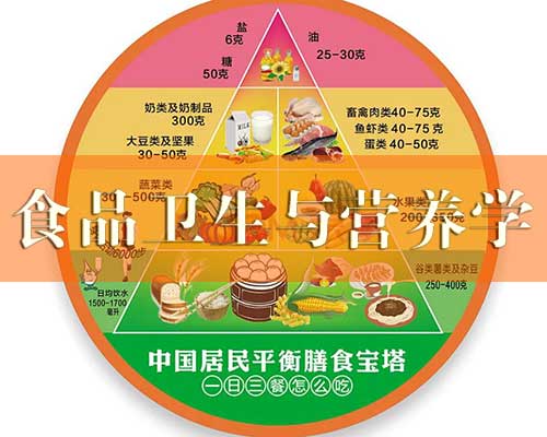 营养学与食品卫生学的差异解析