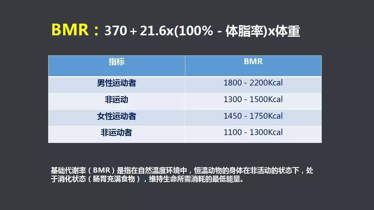 食品营养学中BMR（基础代谢率）的含义及其重要性解析