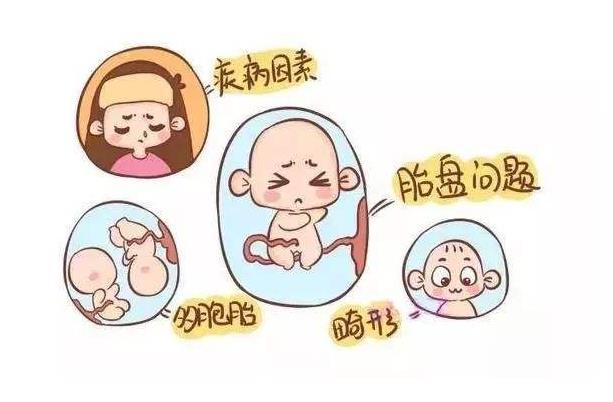 孕期女性饮食营养搭配指南