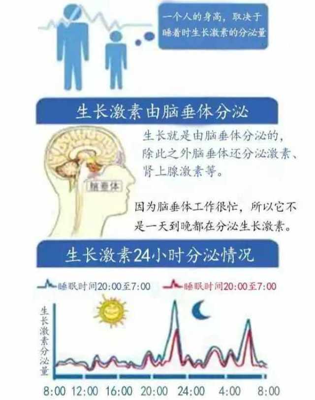 探索餐后运动与饮食的最佳健康实践时间安排