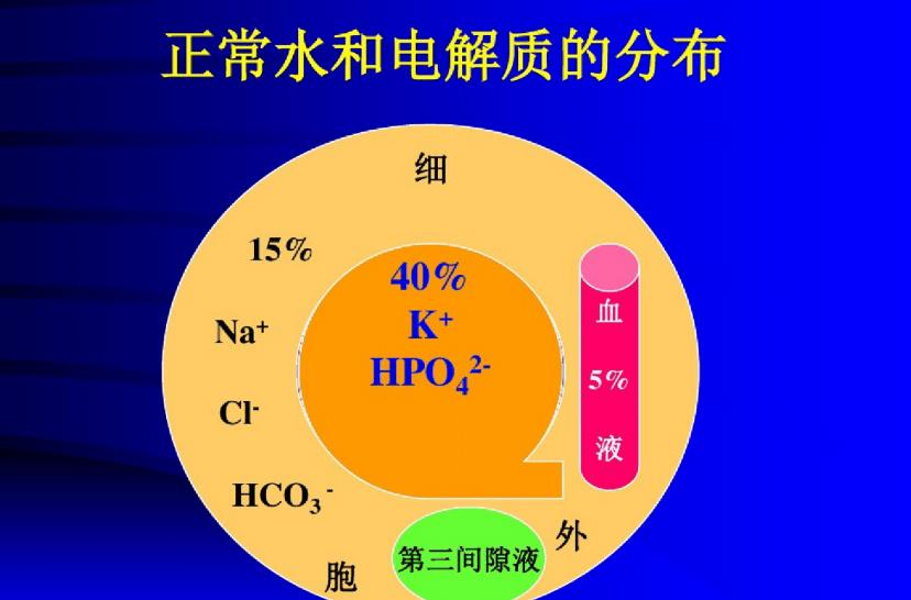 高强度健身后的补水与电解质平衡策略