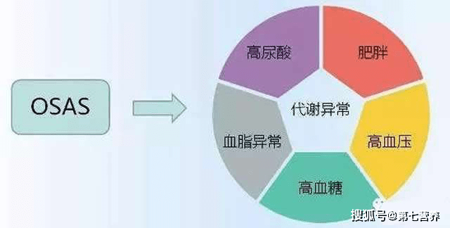 中年男性代谢减缓的饮食调整与优化策略