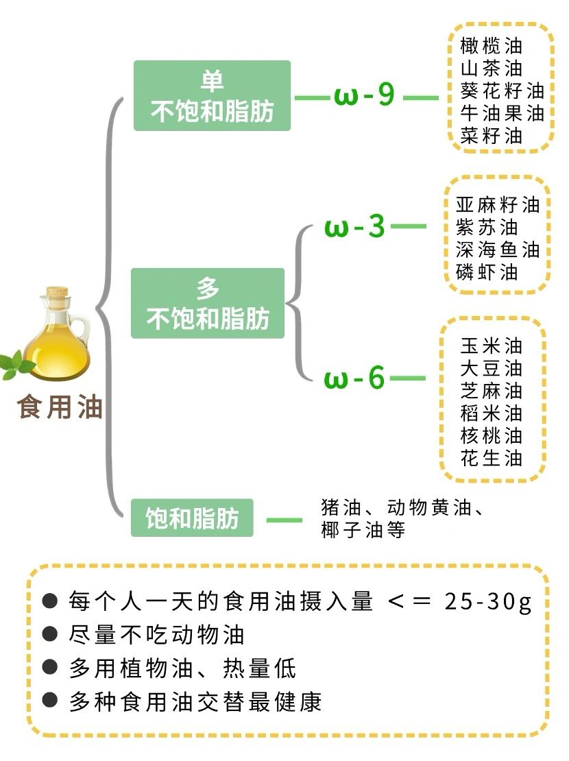 减脂期健康油脂摄入与搭配指南