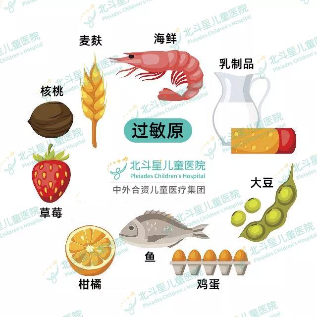 营养师眼中的食物过敏与免疫关联探究