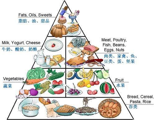 青少年饮食调整，提升耐力与速度的关键策略