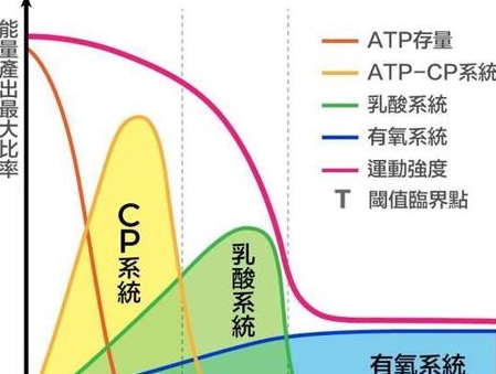 高强度健身期健康增肌餐规划指南