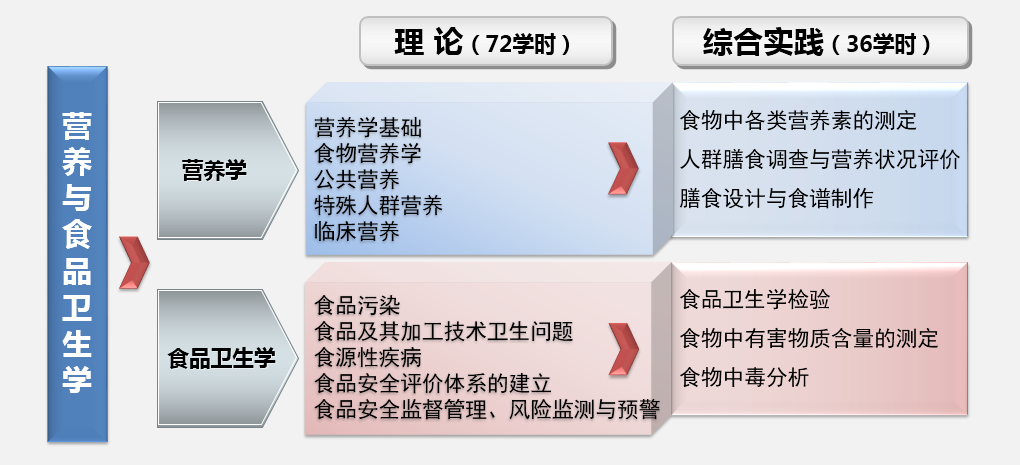 营养学与食品卫生学的探索与实践之旅