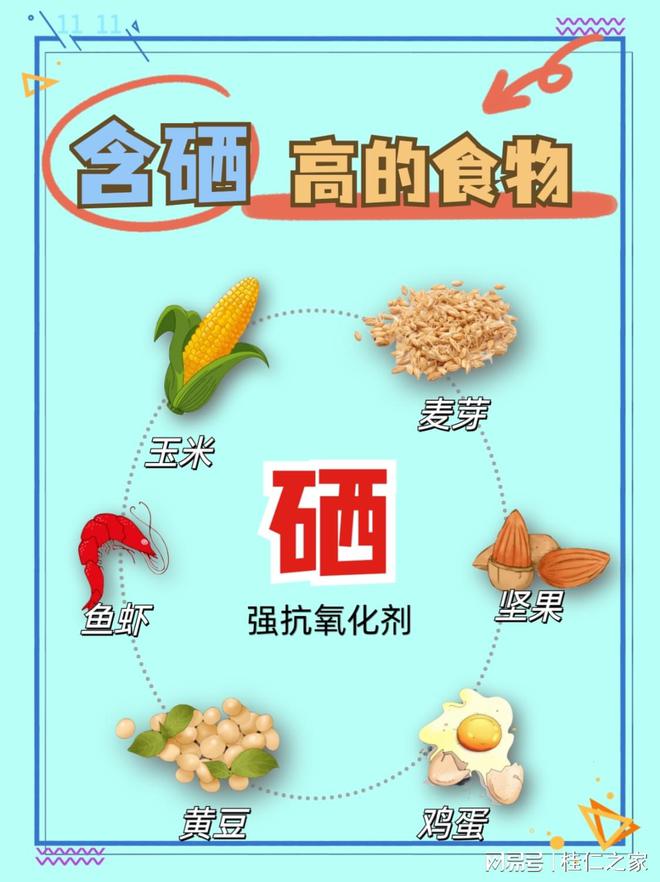 富硒营养食品排名榜前十，探寻健康饮食新领域的宝藏之选