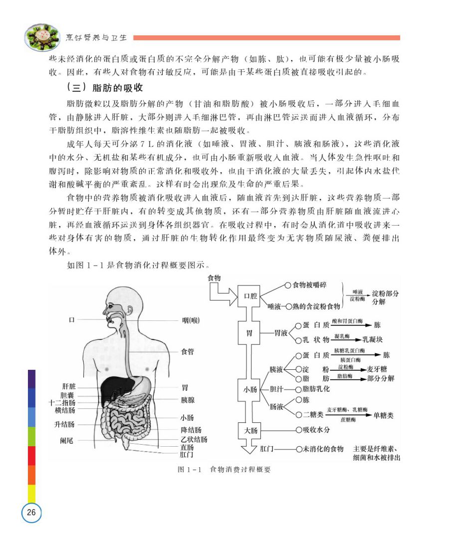 食品卫生、营养学与解剖学，食物对人体健康的深度探究