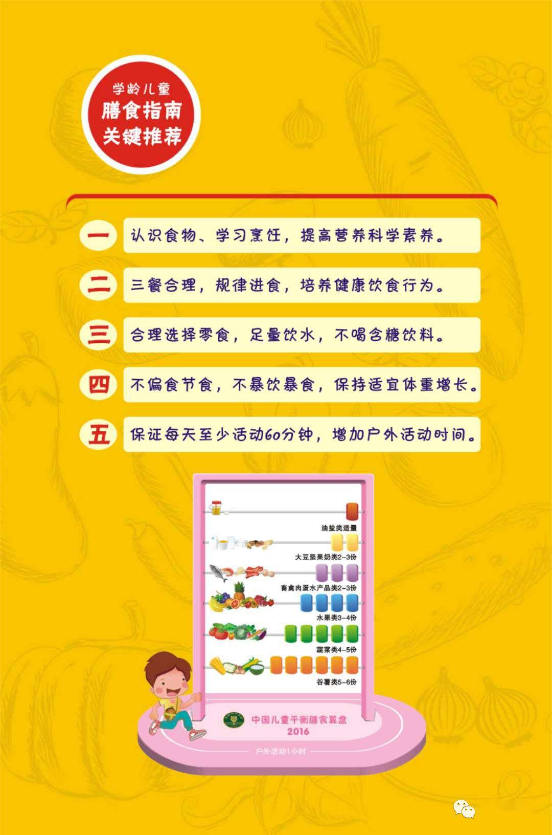 中国学生营养食品网，塑造健康未来的重要推手