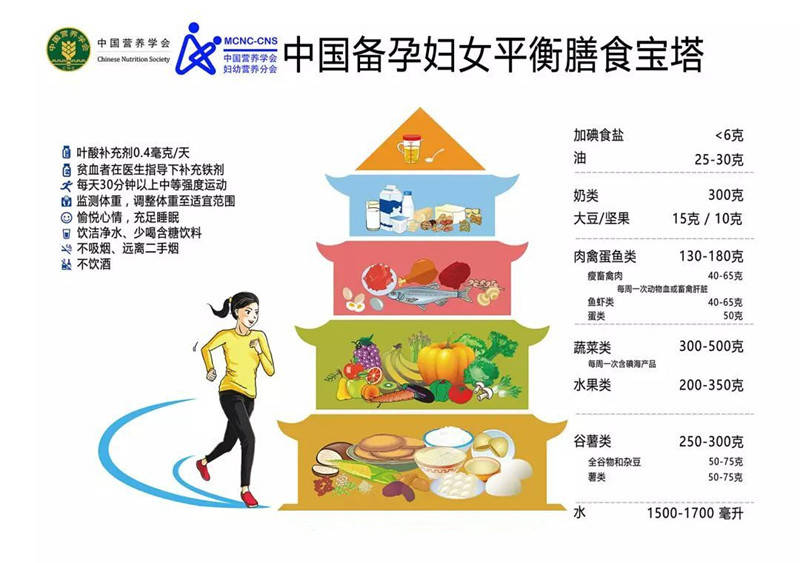 食品营养与安全凌强第二版深度解读及探讨