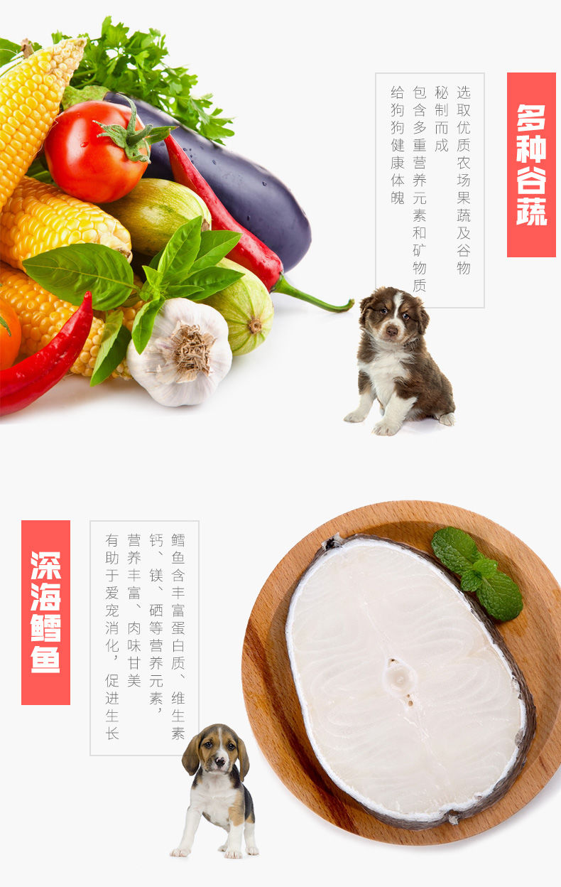 鳕鱼狗狗食品，可否食用与营养价值探讨