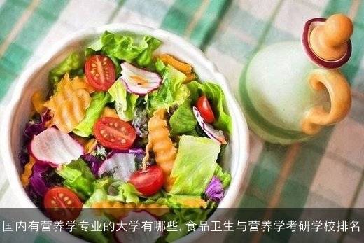 营养学与食品卫生学考研深度解析，专业解读与备考指南