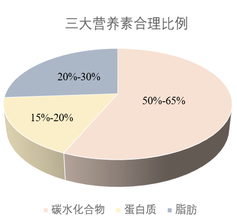 三重营养食品类型与它们的重要性