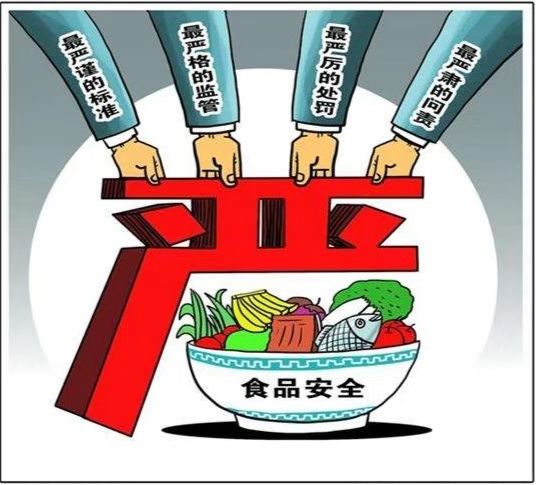 营养食品与危险品的界线，健康守护的关键选择