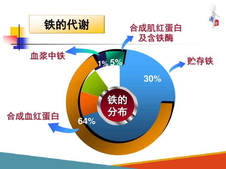 营养性贫血改善策略，功能性食品PPT详解