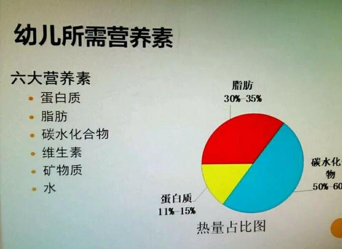 食品六大营养素的重要性与均衡摄取理解