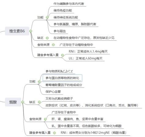 食品营养与卫生维生素C思维导图详解