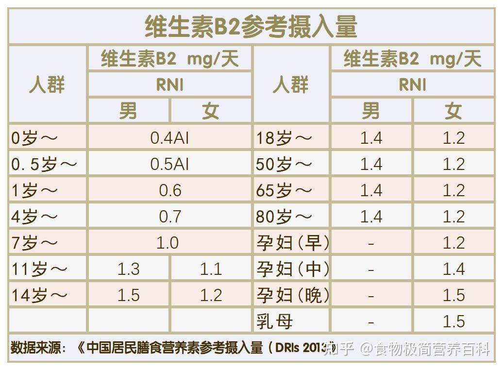 探索之旅，十种最具营养价值的食品排名榜