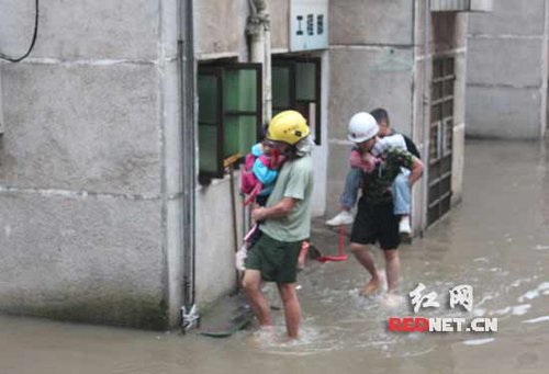 永州零陵营养食品厂，丰富多样，卓越品质的选择