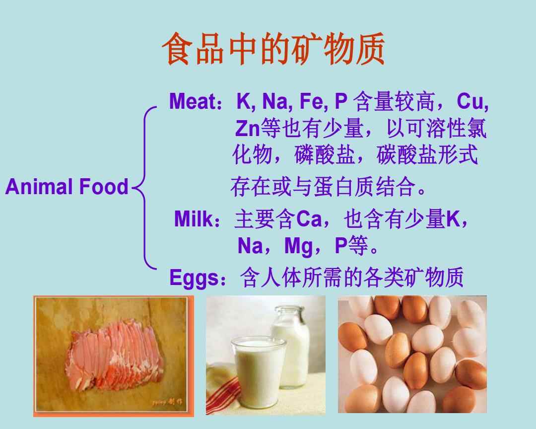 营养与食品卫生学中的矿物质，深入了解与PPT详解应用